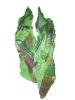 Holey Moley Scarf in green and pink